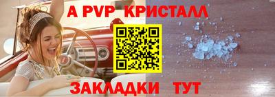 шишки Аргун