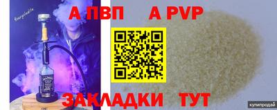 шишки Аргун