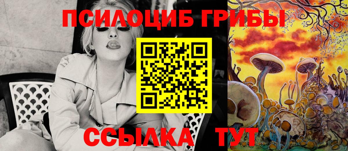 Псилоцибиновые грибы Psilocybine cubensis Абинск