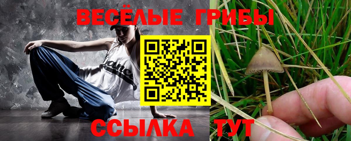 закладка  Галлюциногенные грибы Magic Shrooms  Псилоцибиновые грибы GOLDEN TEACHER  Вход с VPN  Абинск 